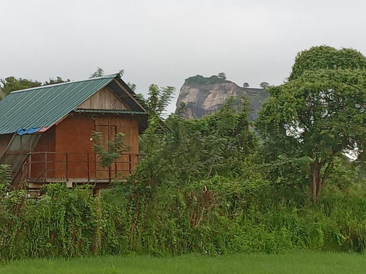 Sigiriya Paddy Field Hut Villa Eksteriør bilde
